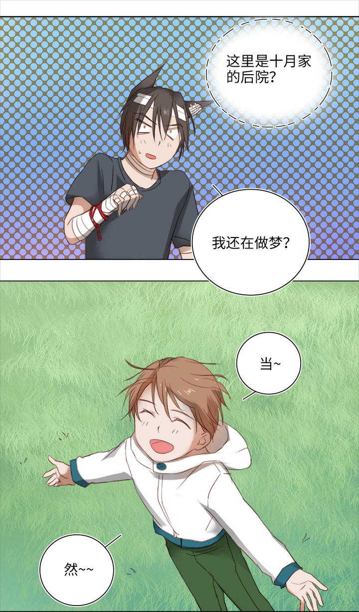 19 梦与回忆11