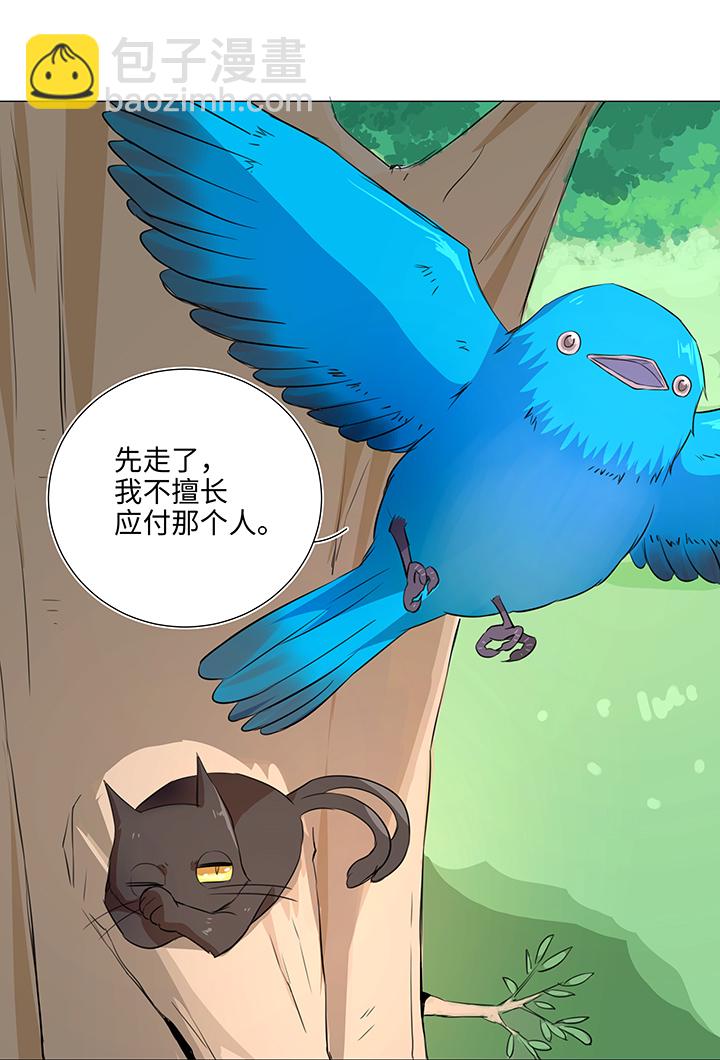 31 过去8