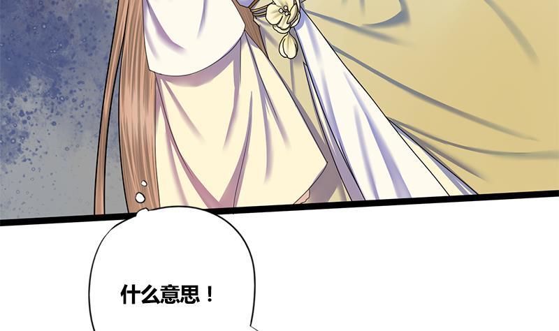 第49话 当年往事31