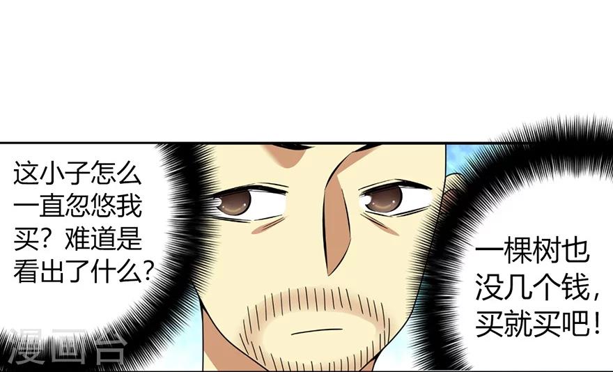 第48话 赌树227