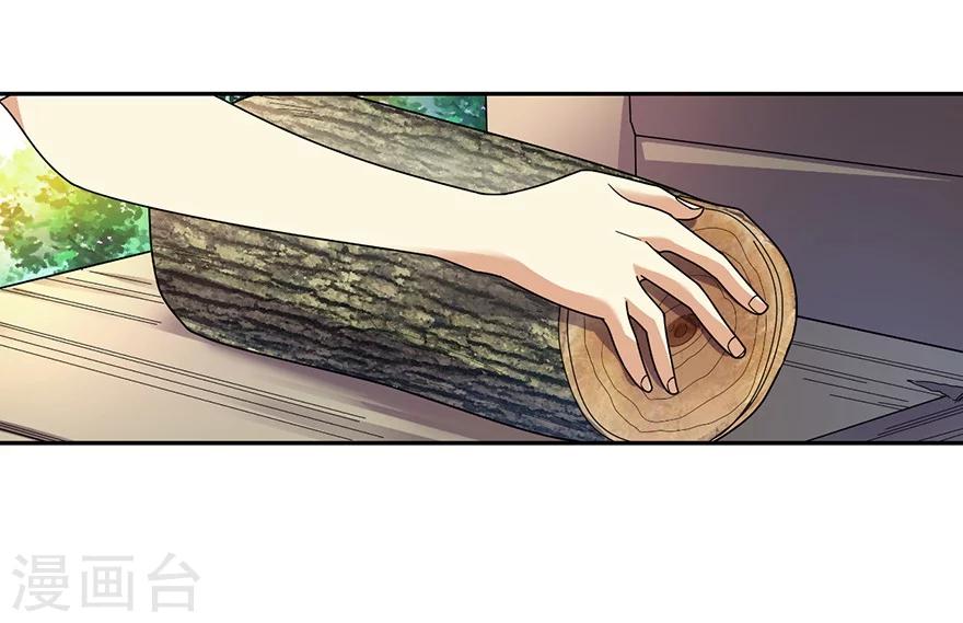 第47话 赌树18