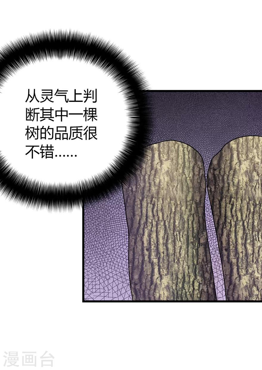 第48话 赌树215