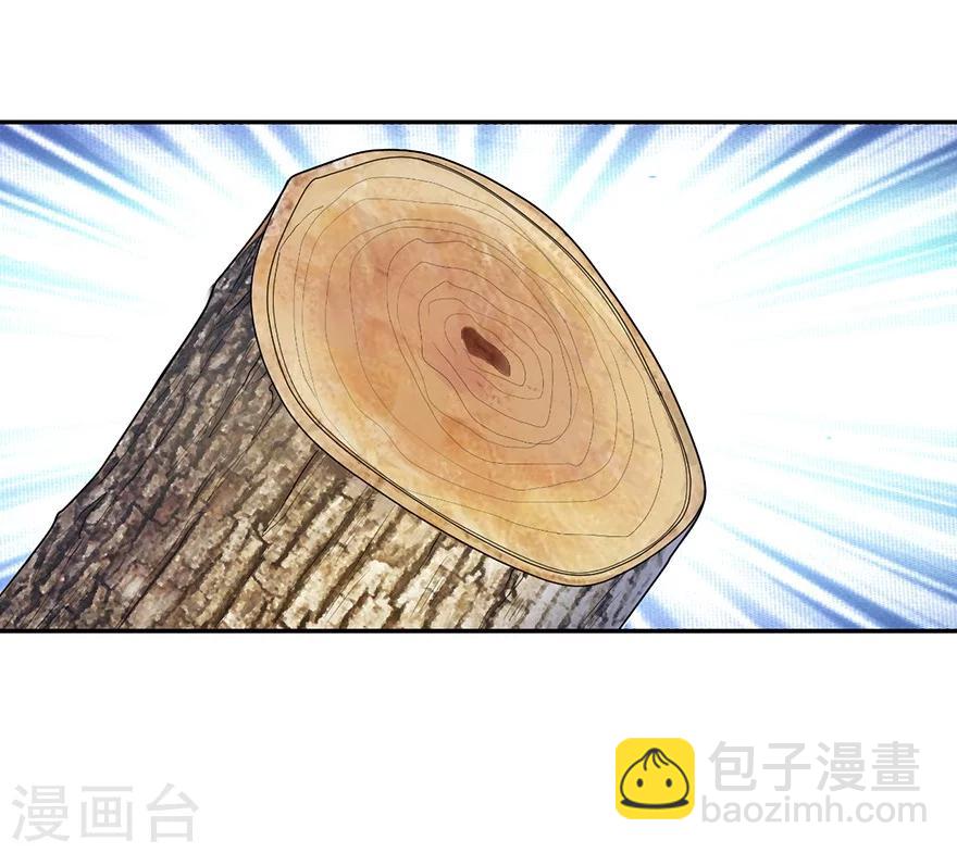 第47话 赌树11