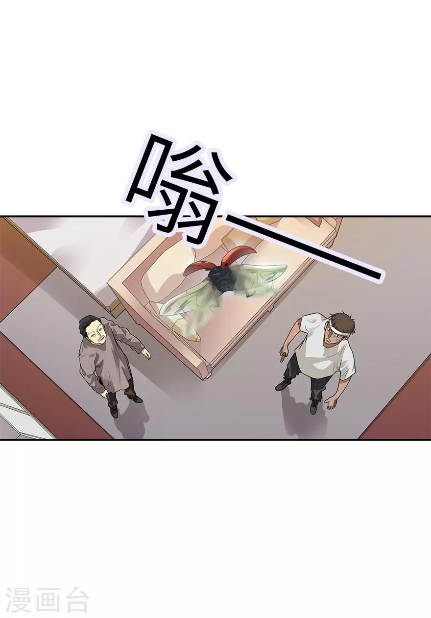 第97话 金蚕蛊30