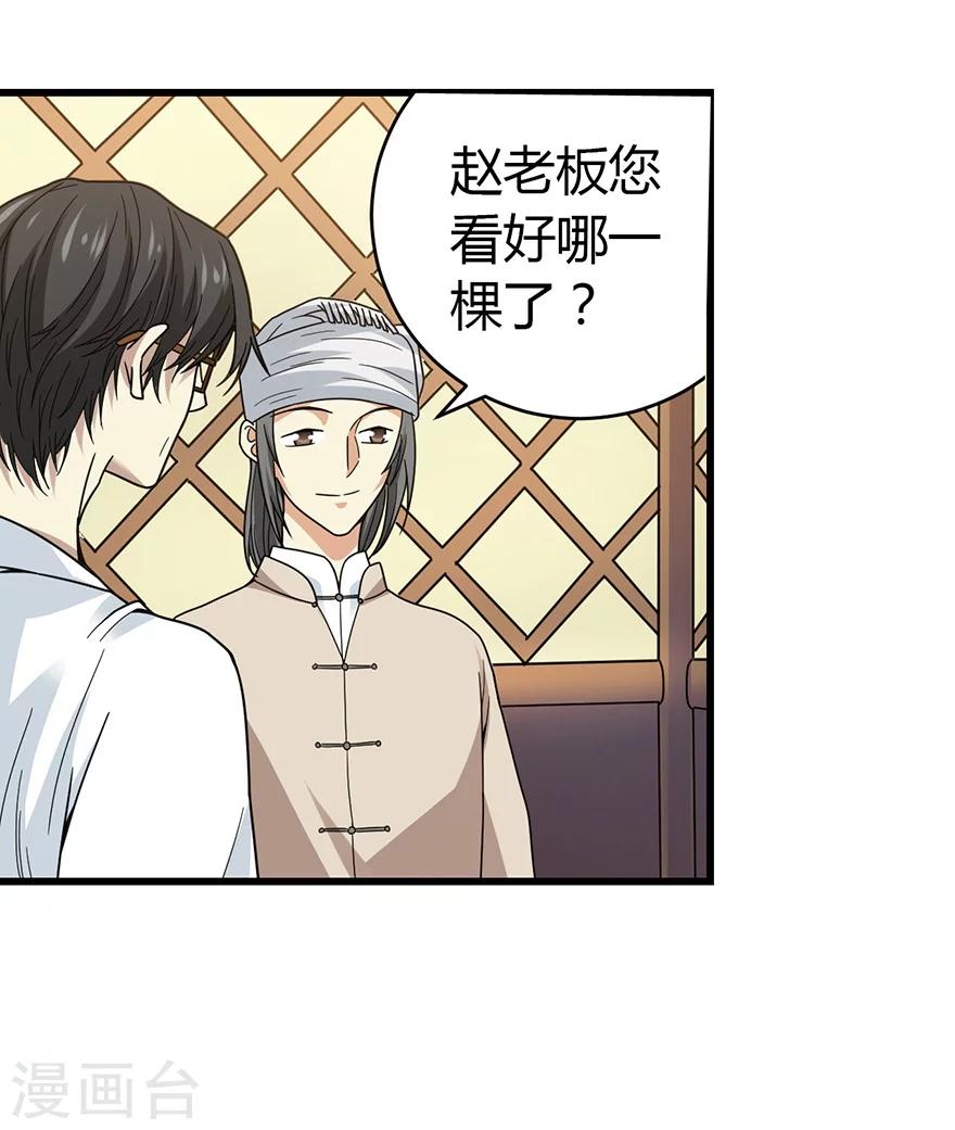第47话 赌树126