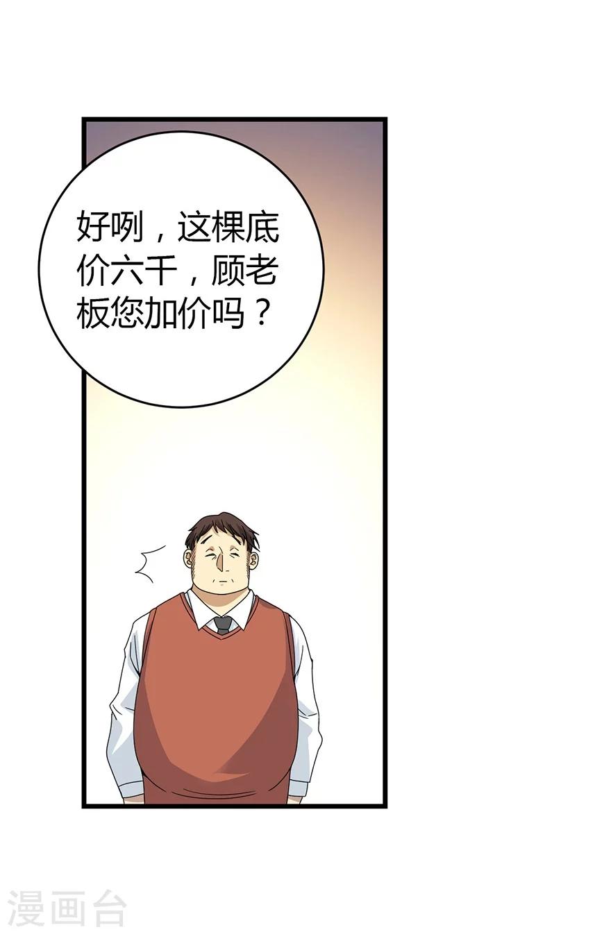 第47话 赌树129