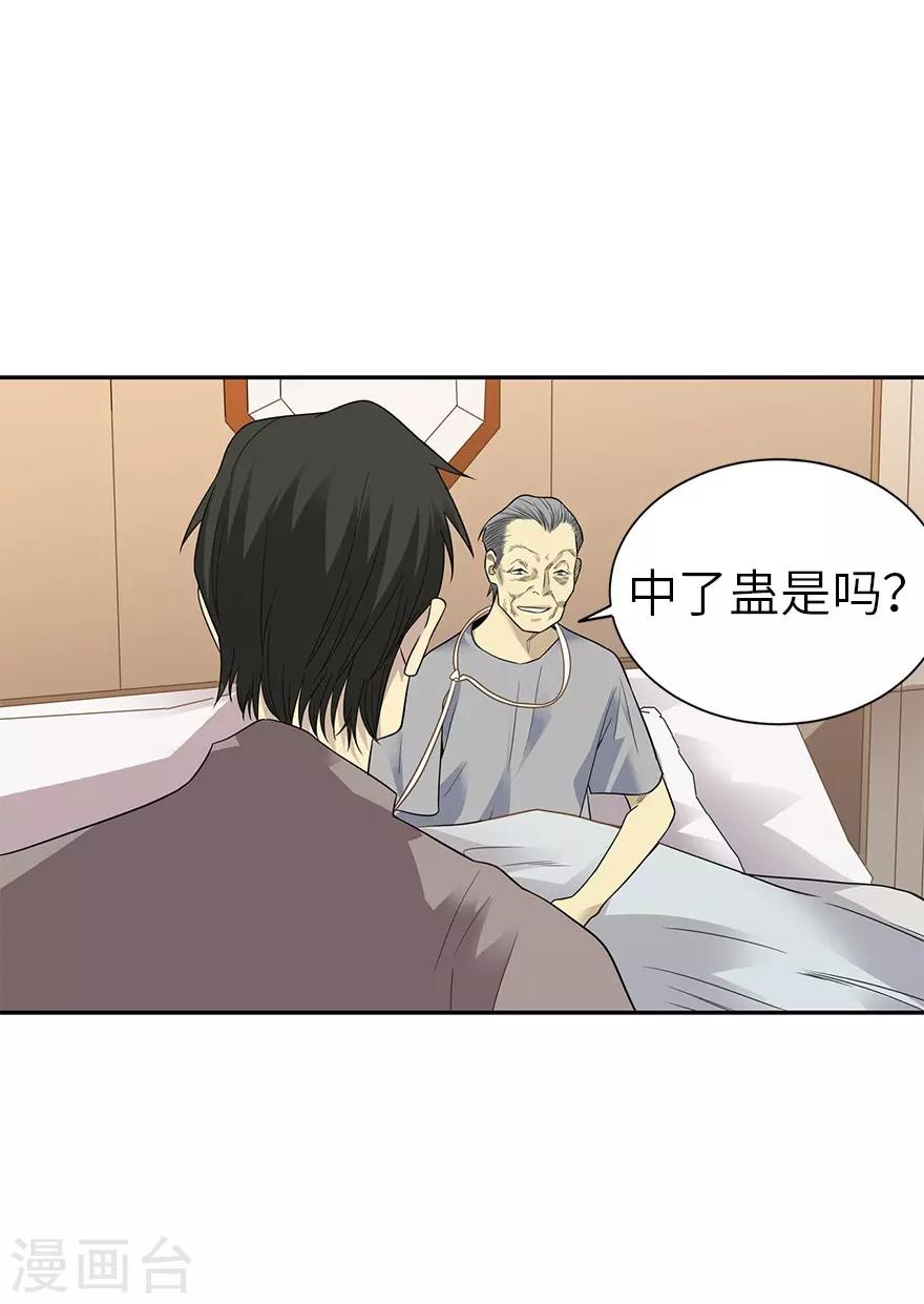 第97话 金蚕蛊3