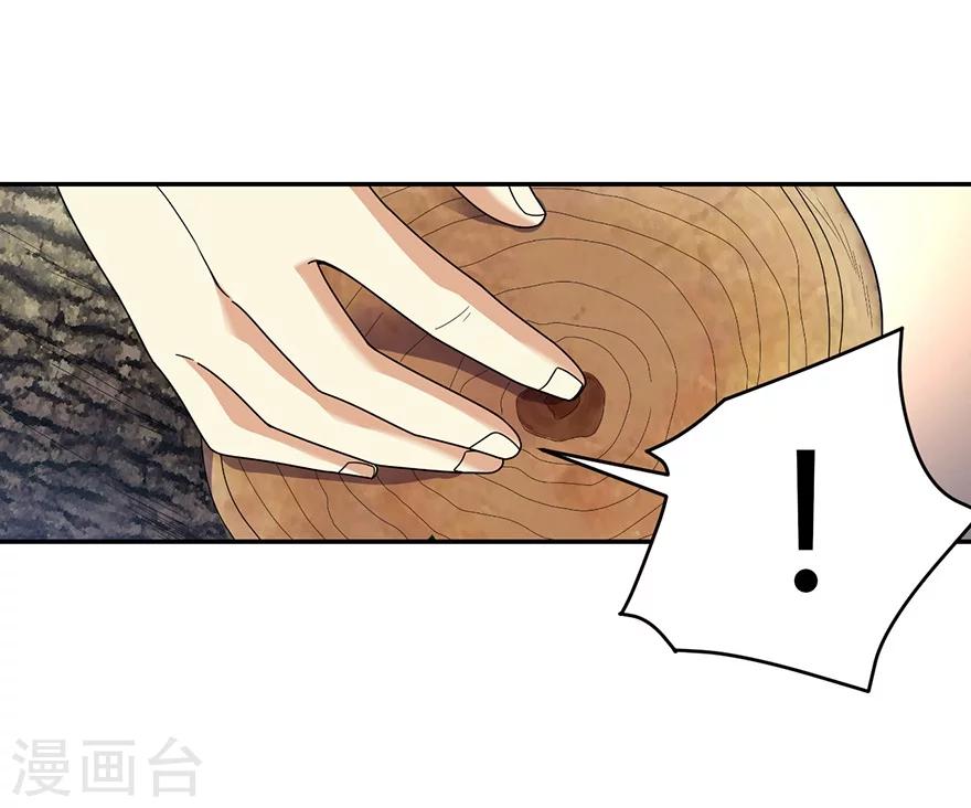 第47话 赌树19