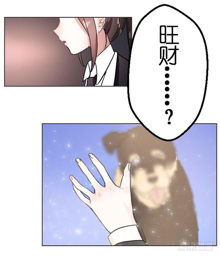 旺财 你别离开我啊!!18