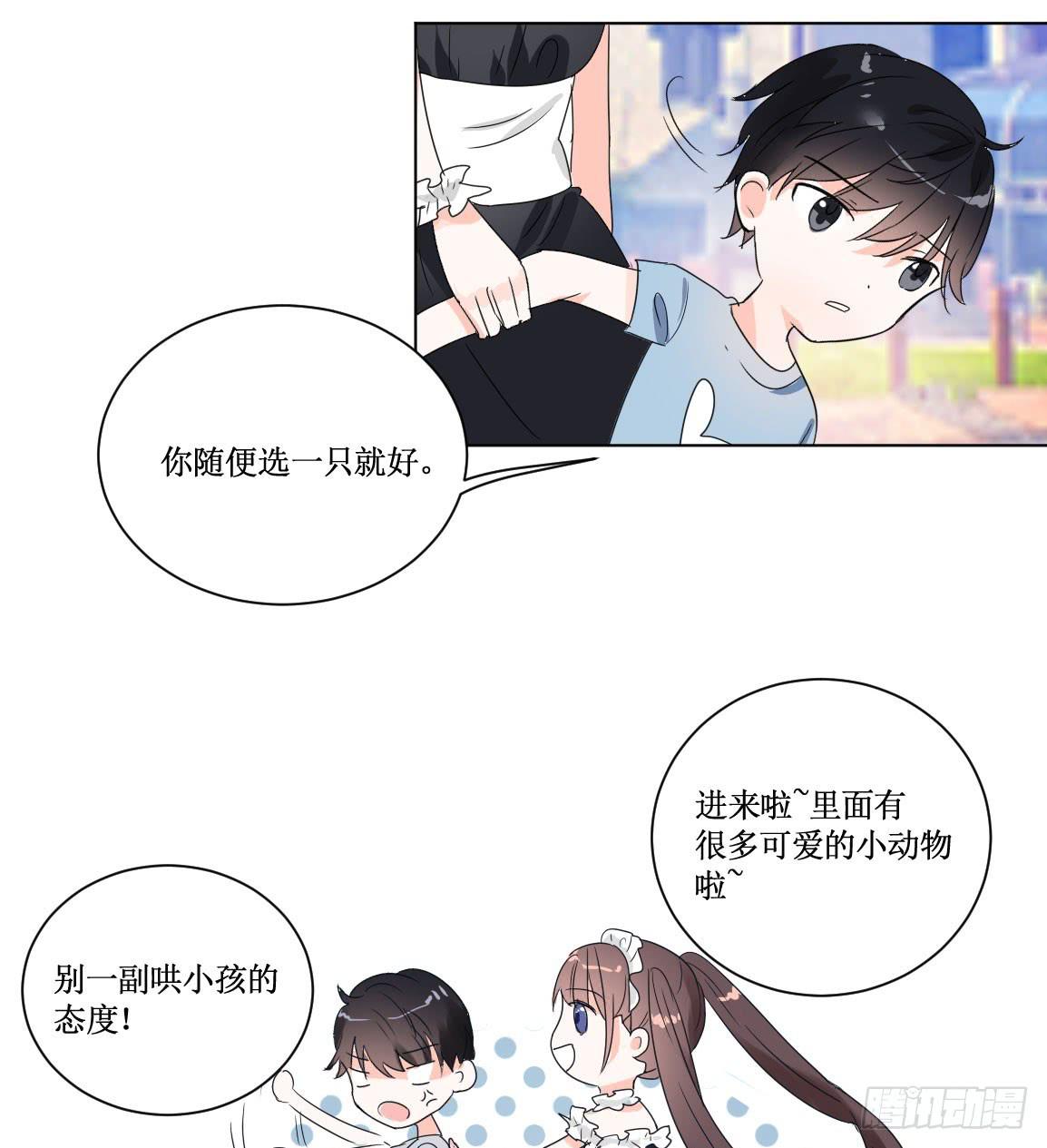 送龙猫做发布会礼物?!27