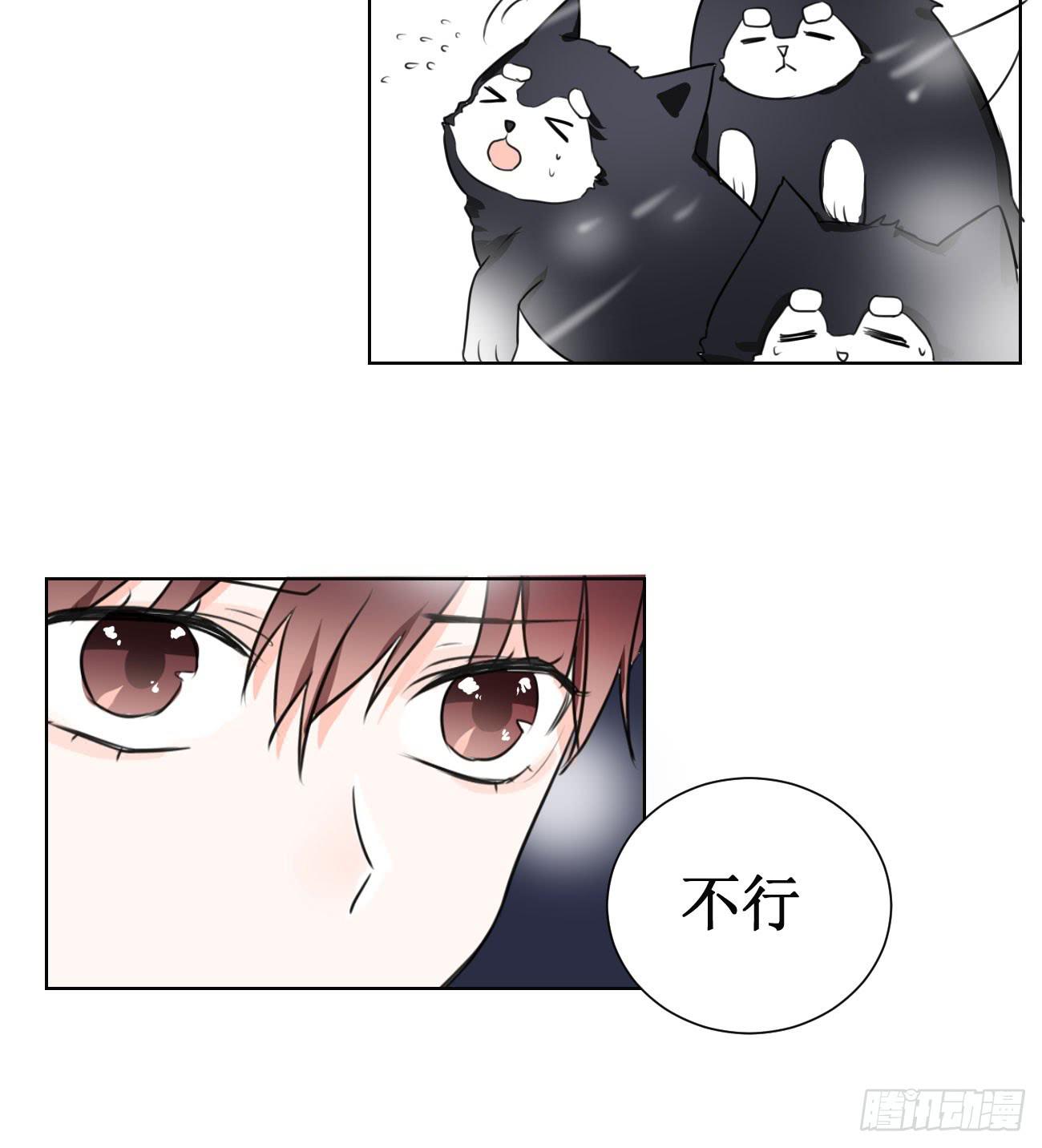 这个计划居然是…?!22