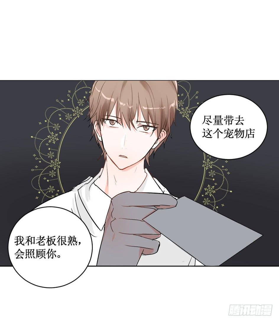 送龙猫做发布会礼物?!13