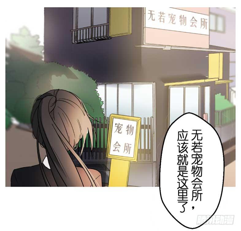 主人与宠物的精神交流?18