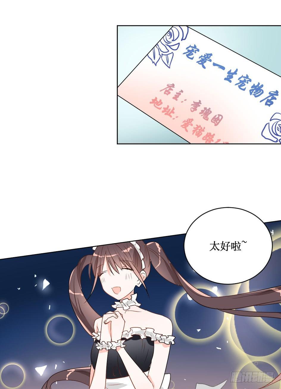 送龙猫做发布会礼物?!14