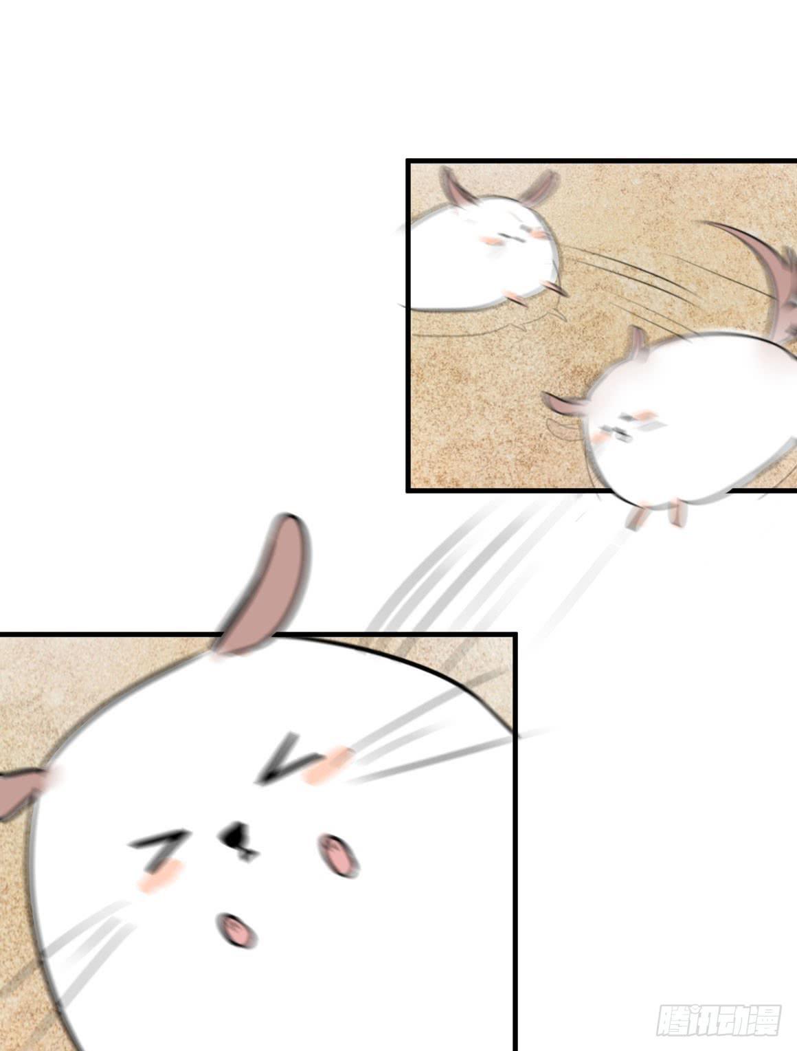 你能保护我们安全吗11