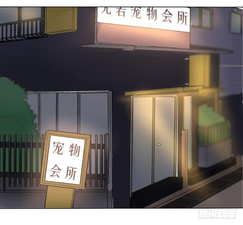 见、见习女仆?!1