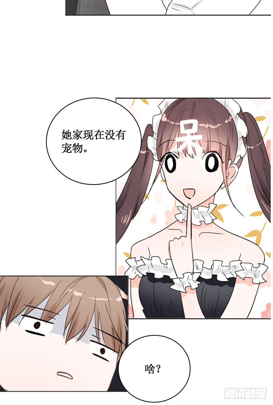 送龙猫做发布会礼物?!6