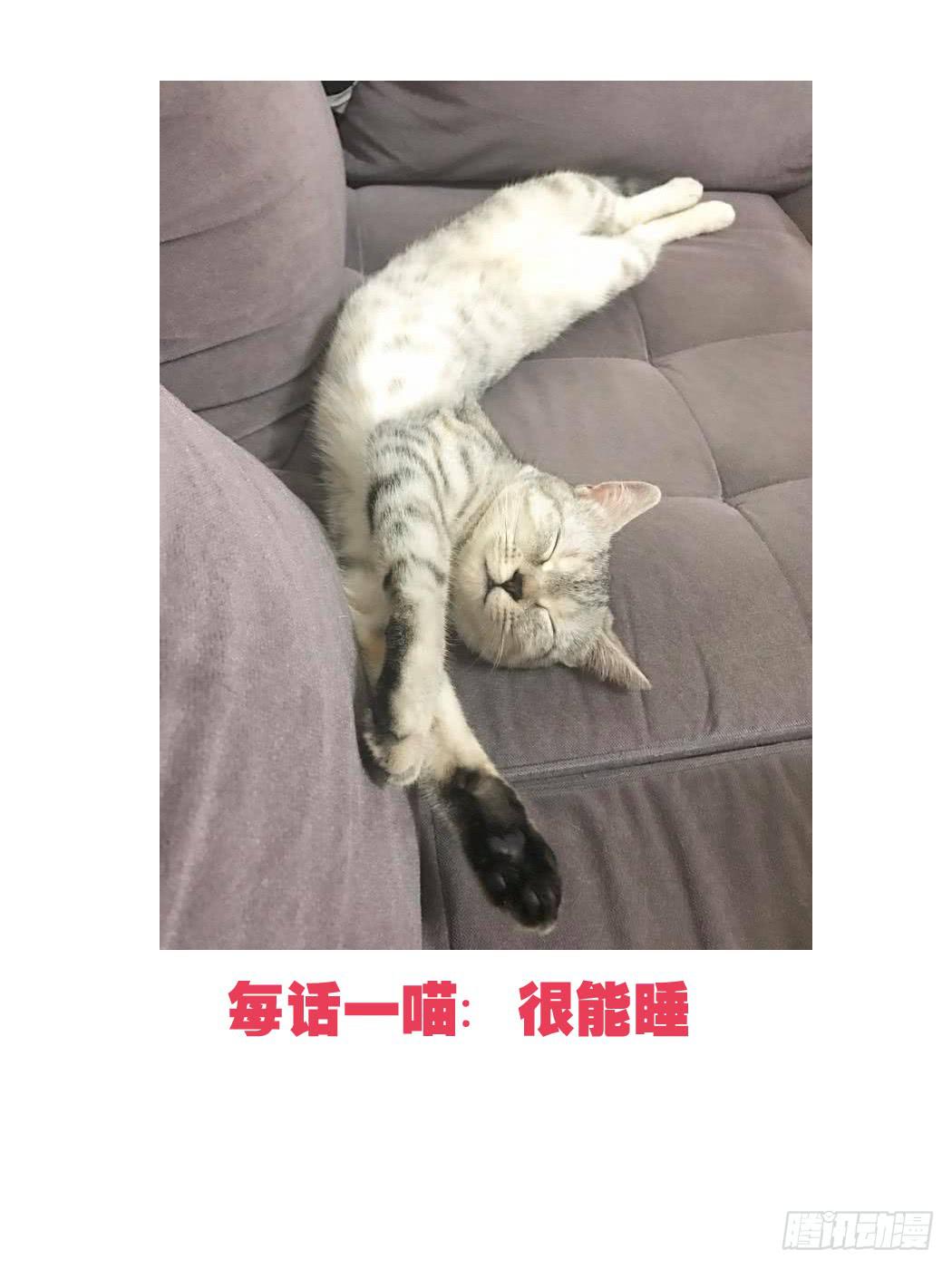 这个计划居然是…?!29