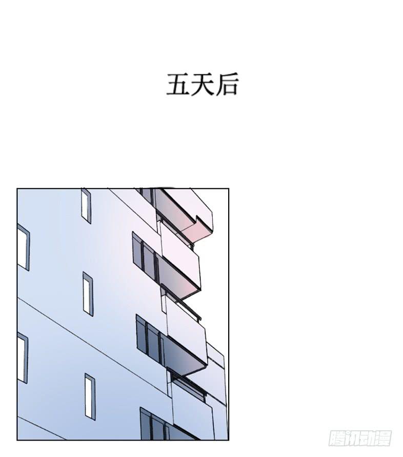 见、见习女仆?!9