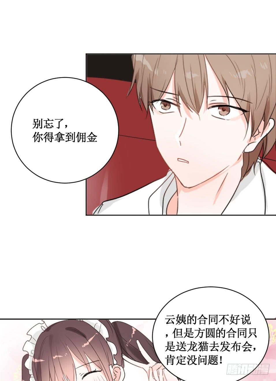 送龙猫做发布会礼物?!3