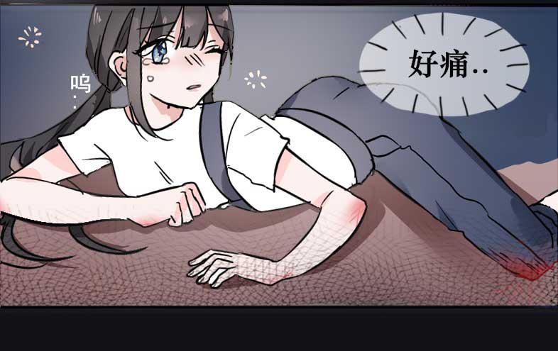 主人与宠物的精神交流?5