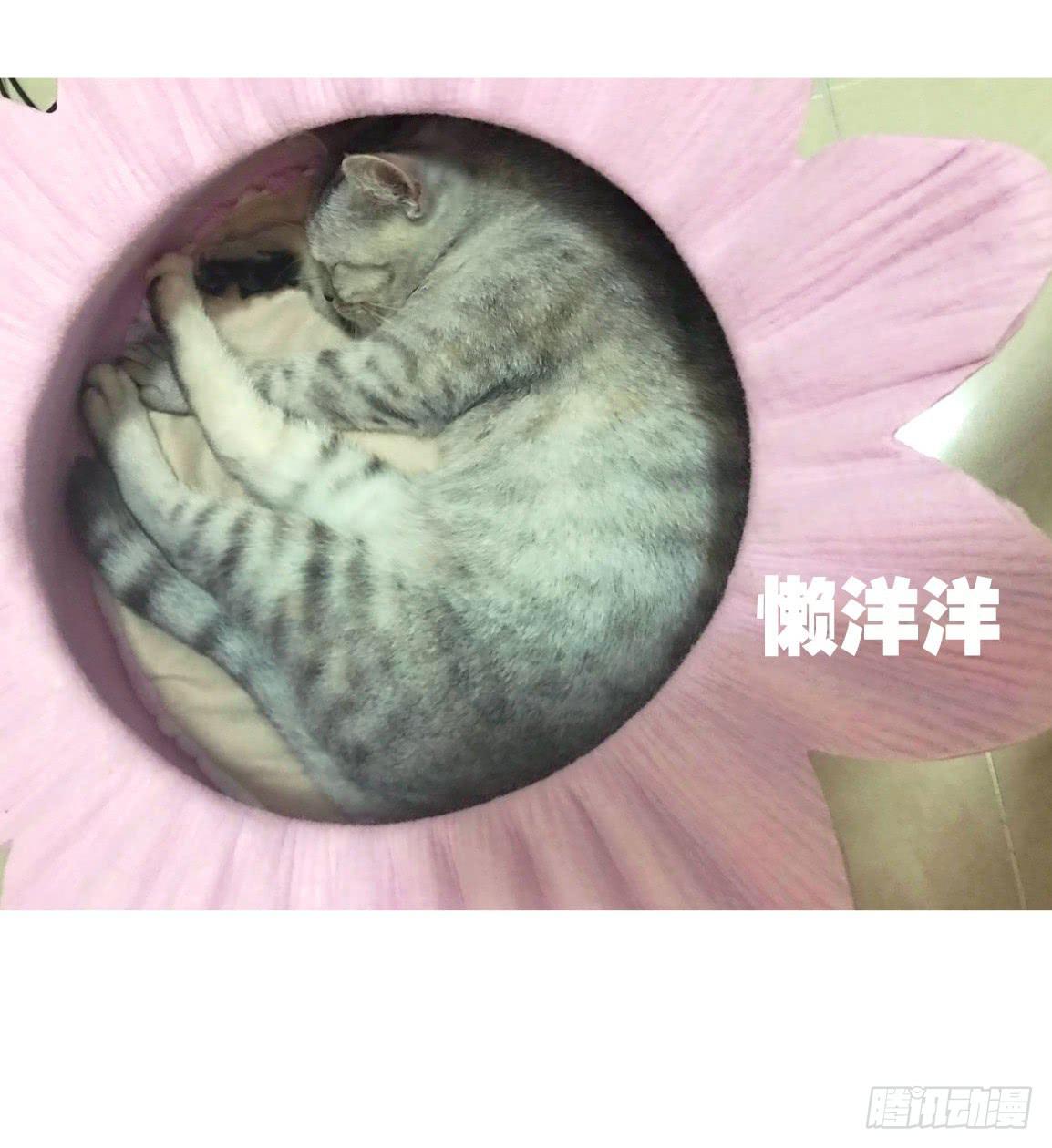 他看到了什么?29