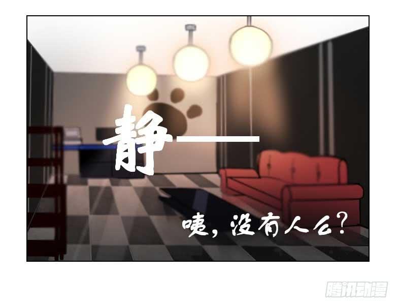 主人与宠物的精神交流?26