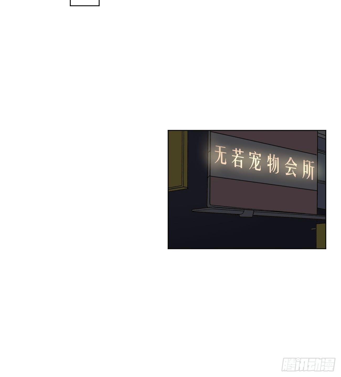 我终于要有订单啦!8