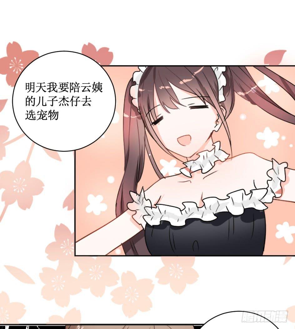 送龙猫做发布会礼物?!7