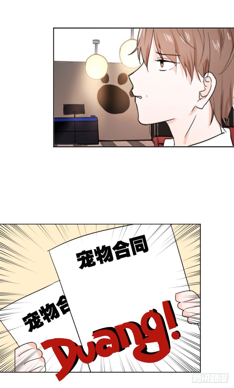 送龙猫做发布会礼物?!1