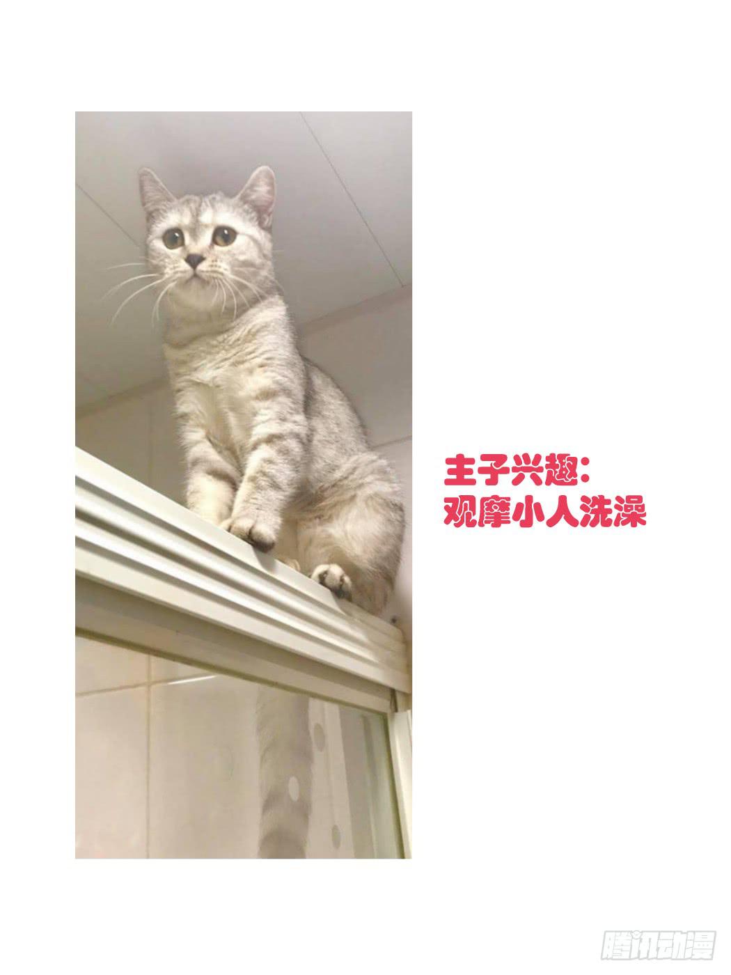 到手的生意不能飞了28