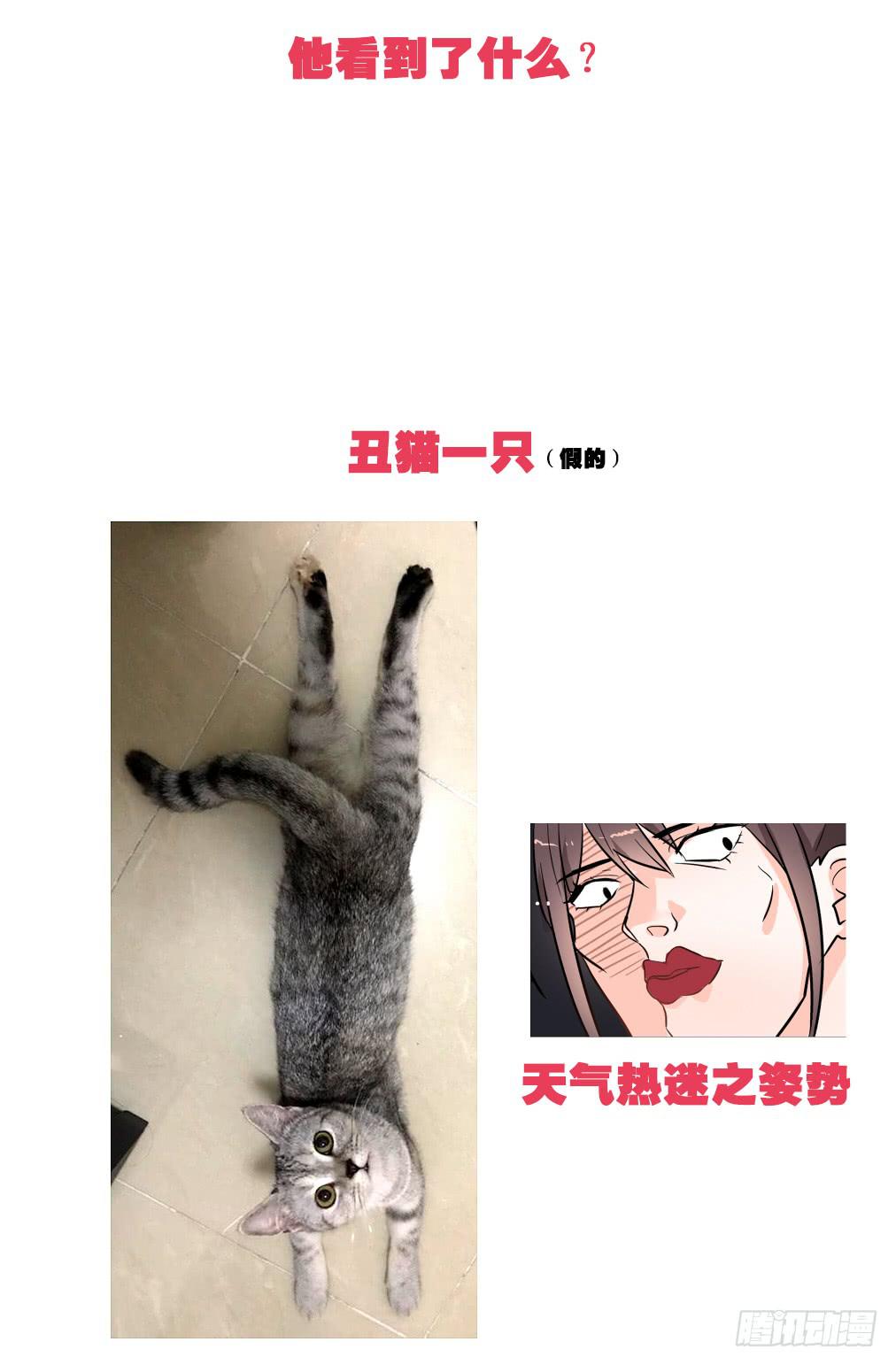送龙猫做发布会礼物?!29