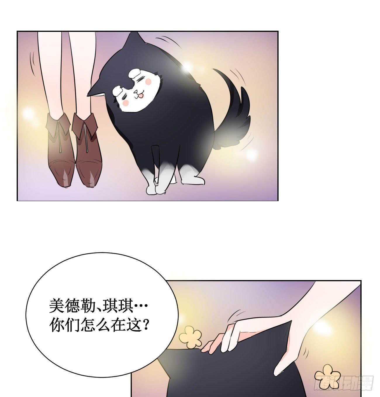 这个计划居然是…?!13