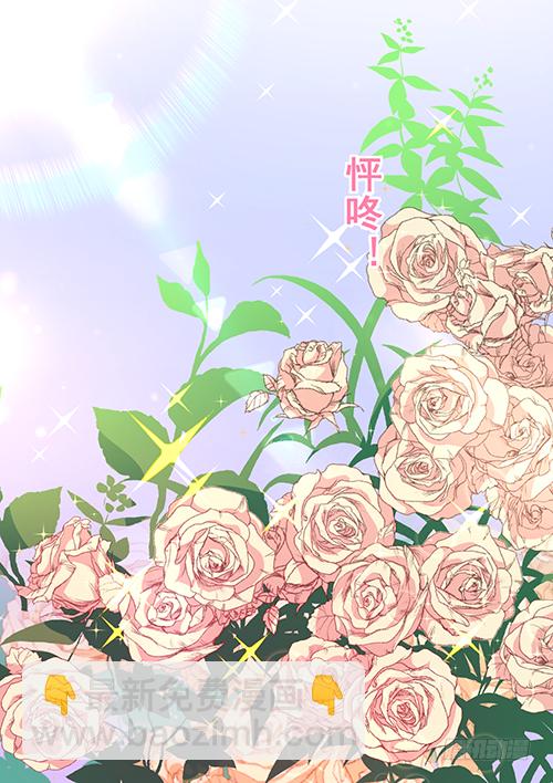她是我太太10