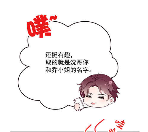 乔恋妙计脱险57
