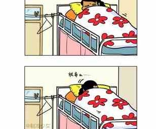482