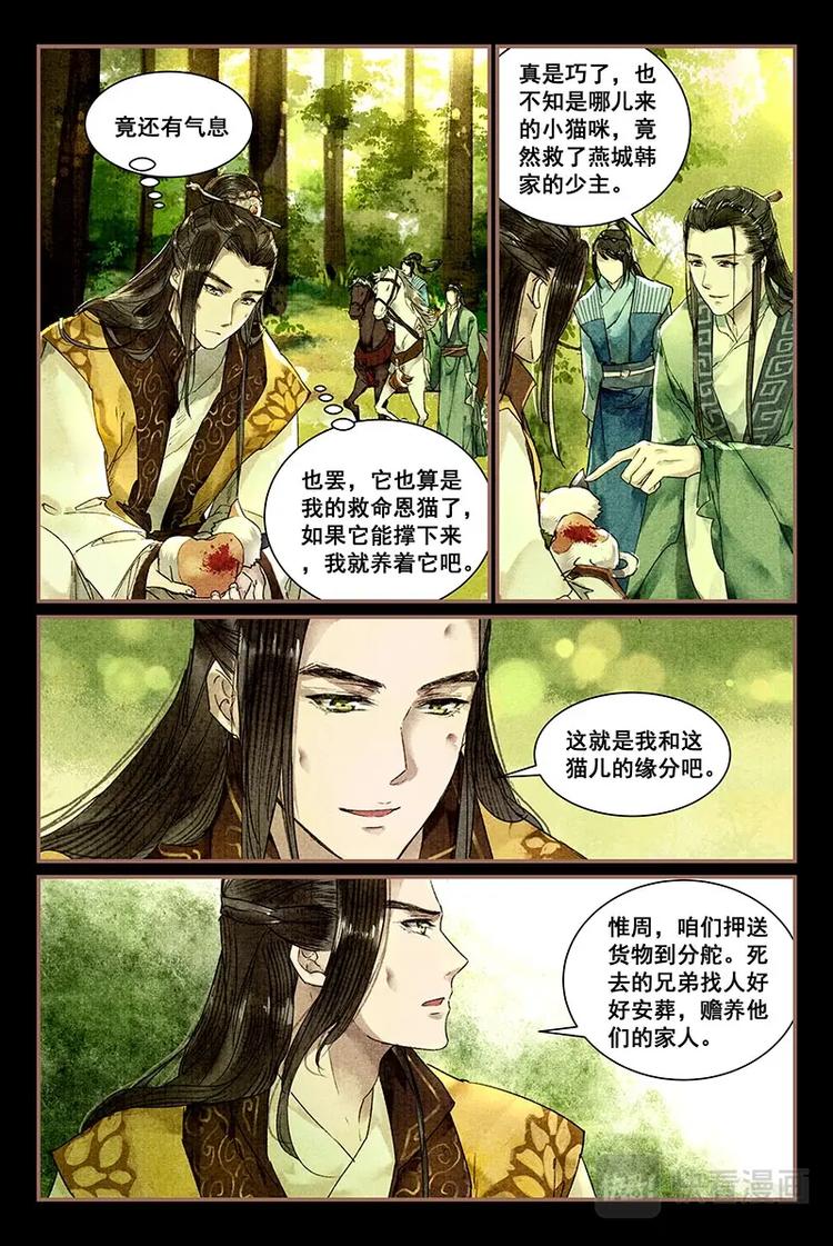 02化身为猫6