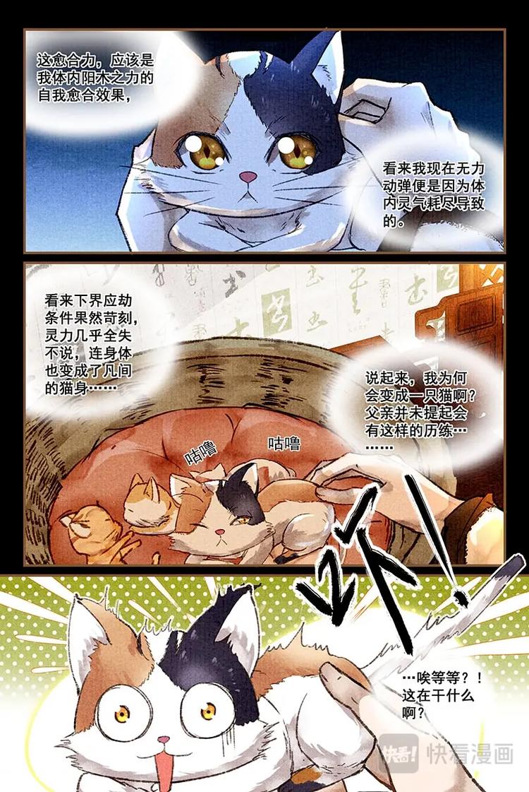 第3话 男孩子？6