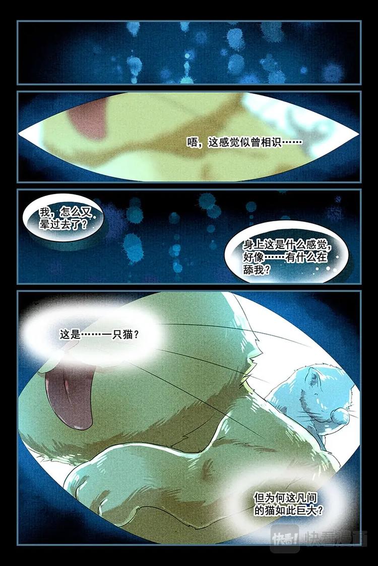 02化身为猫7