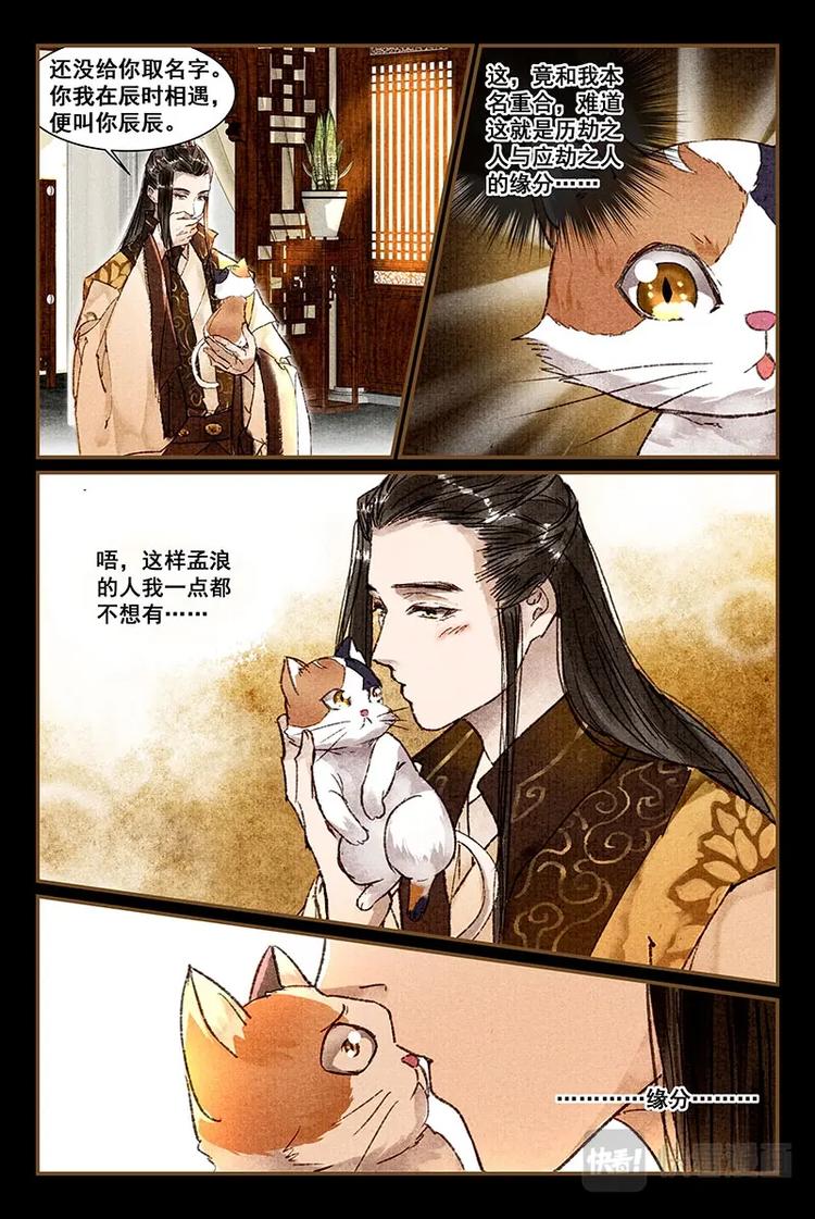 04舒辰喵的蛋蛋6