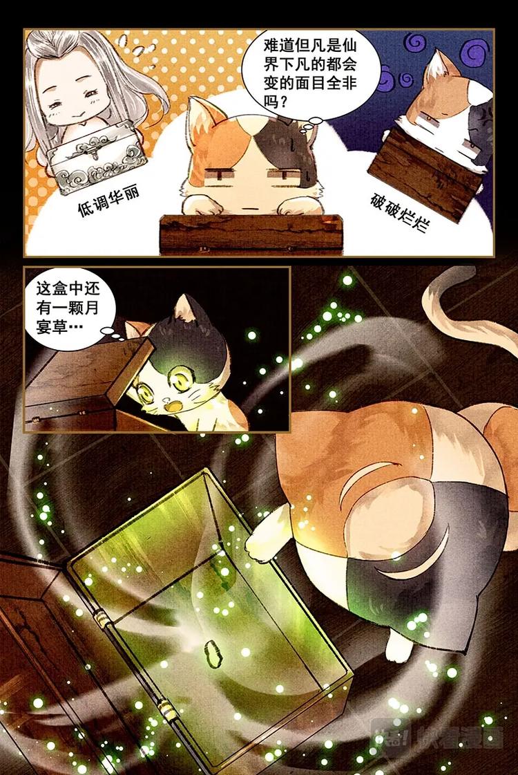 08储仙匣5