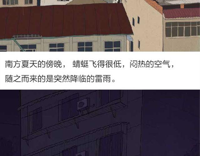 南夏13
