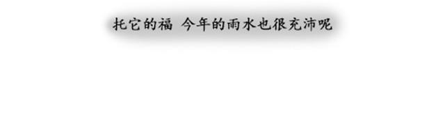 狐山5