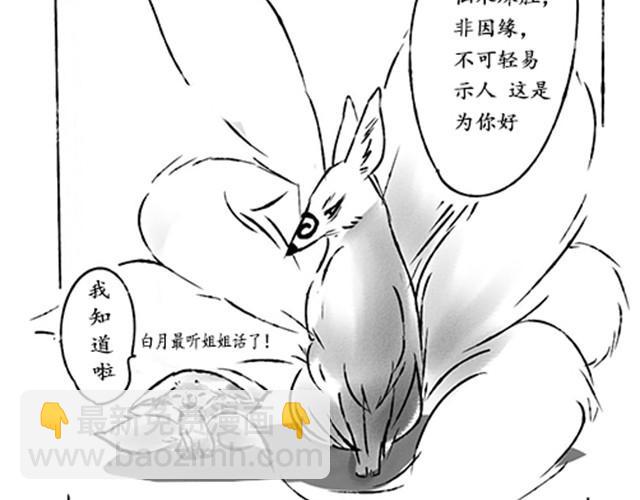 狐山29