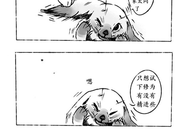 狐山17