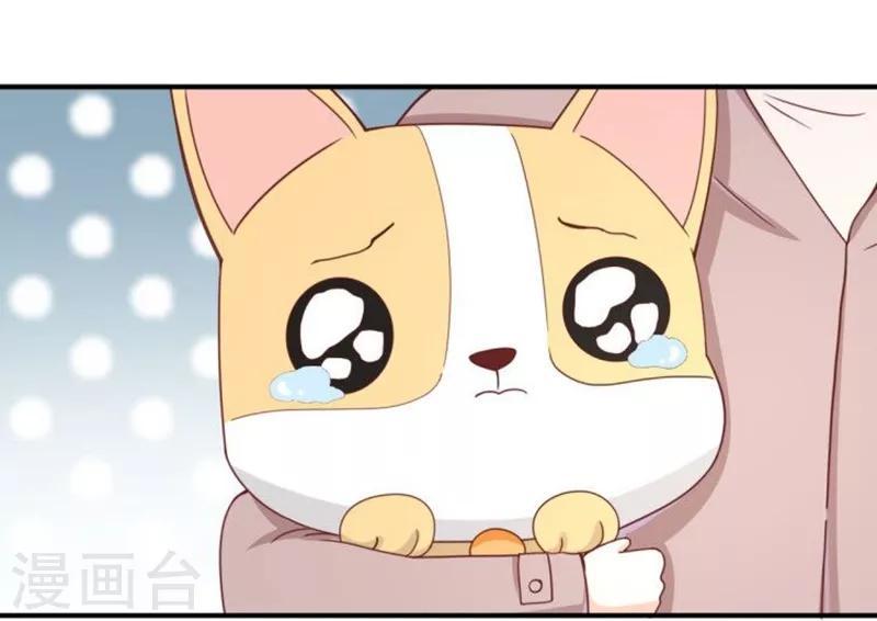 全一话3