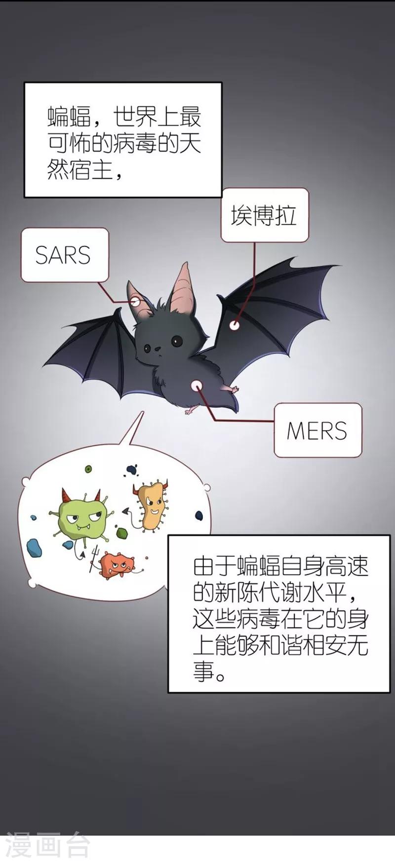 全一话6