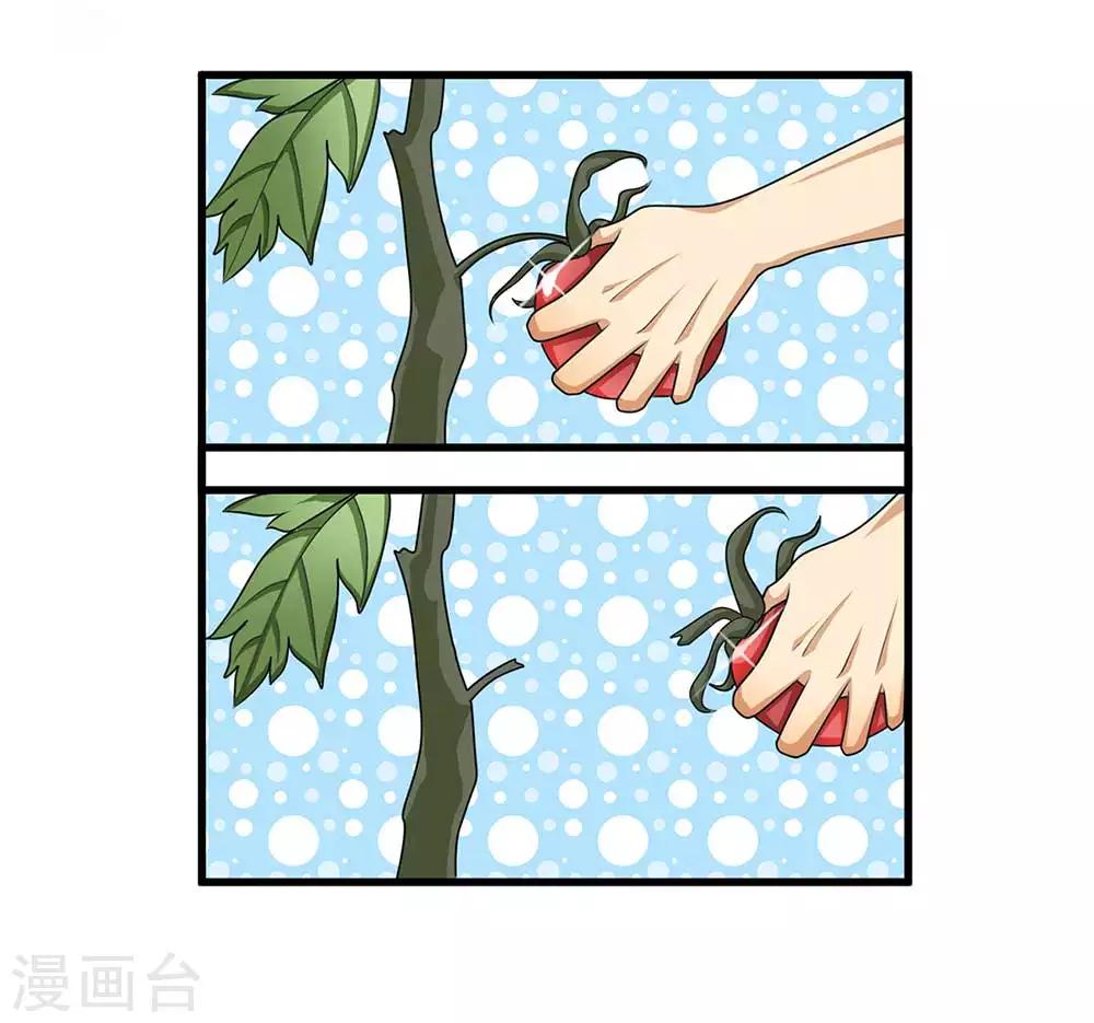 全一话11
