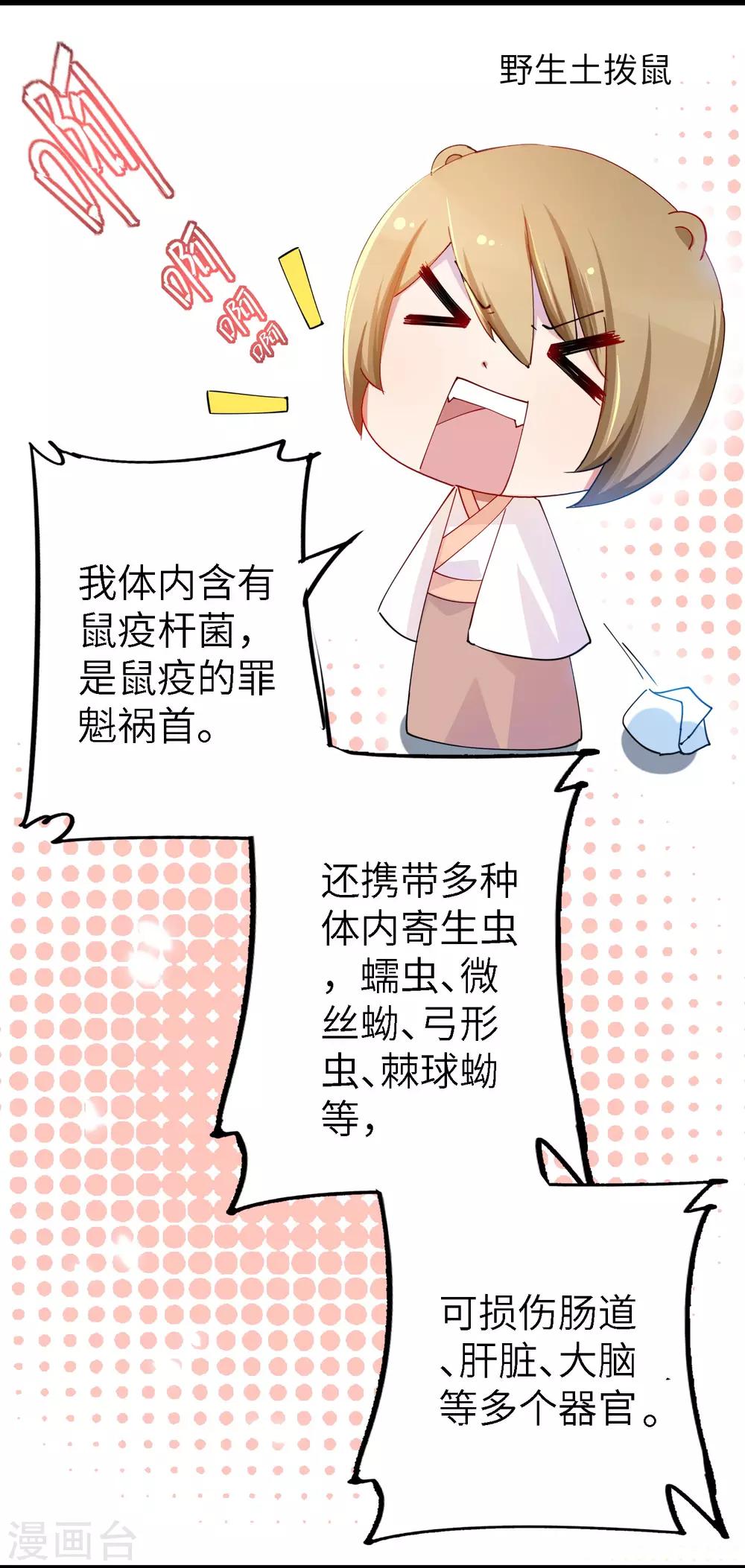全一话19