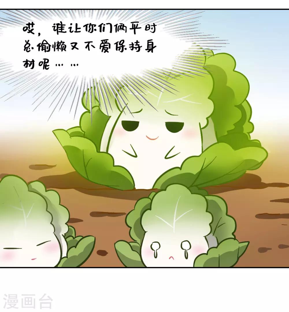 全一话4